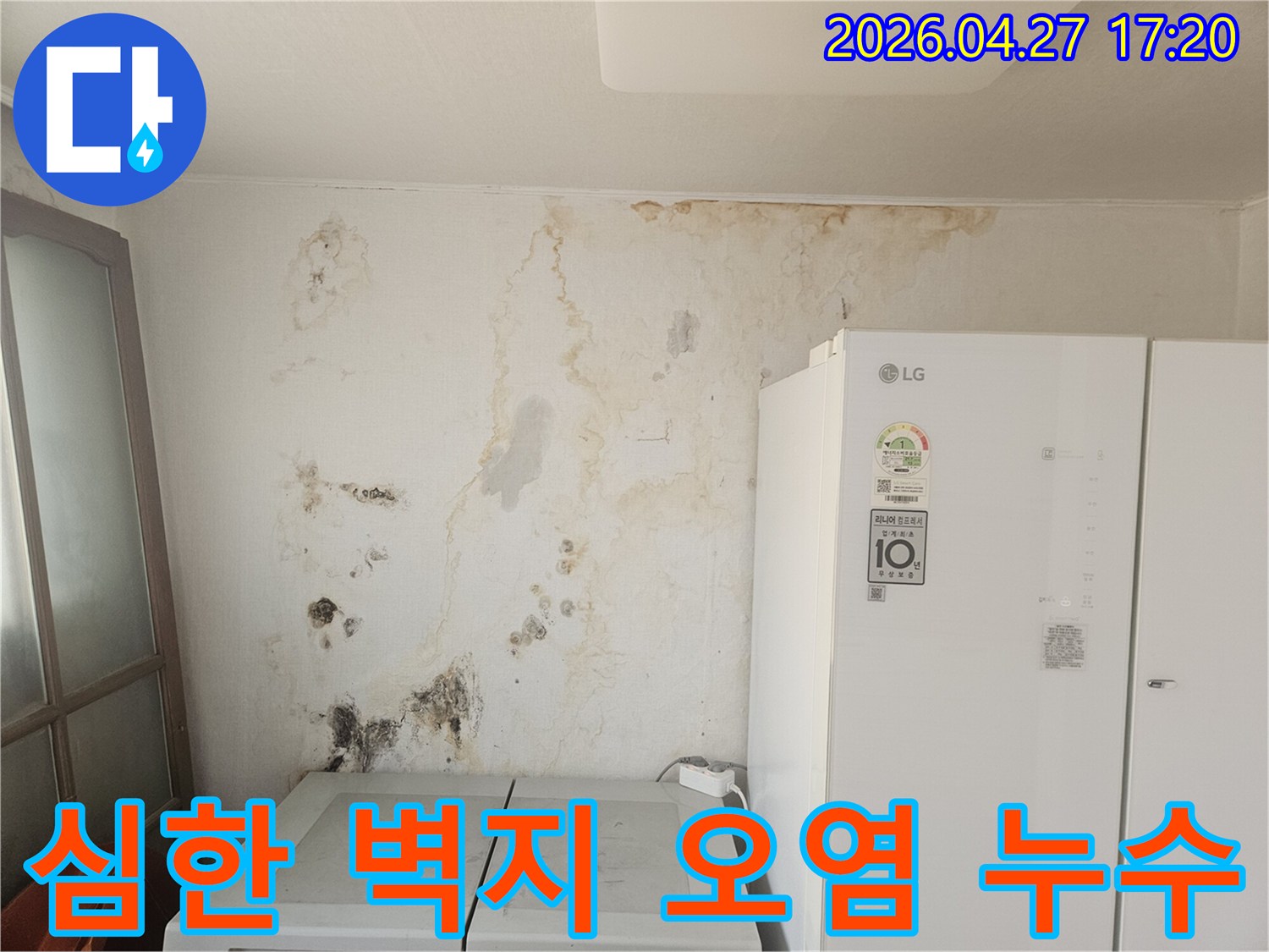 오랜-기간-누수로-인해-벽지가-손상되고-곰팡이가-번식한-모습