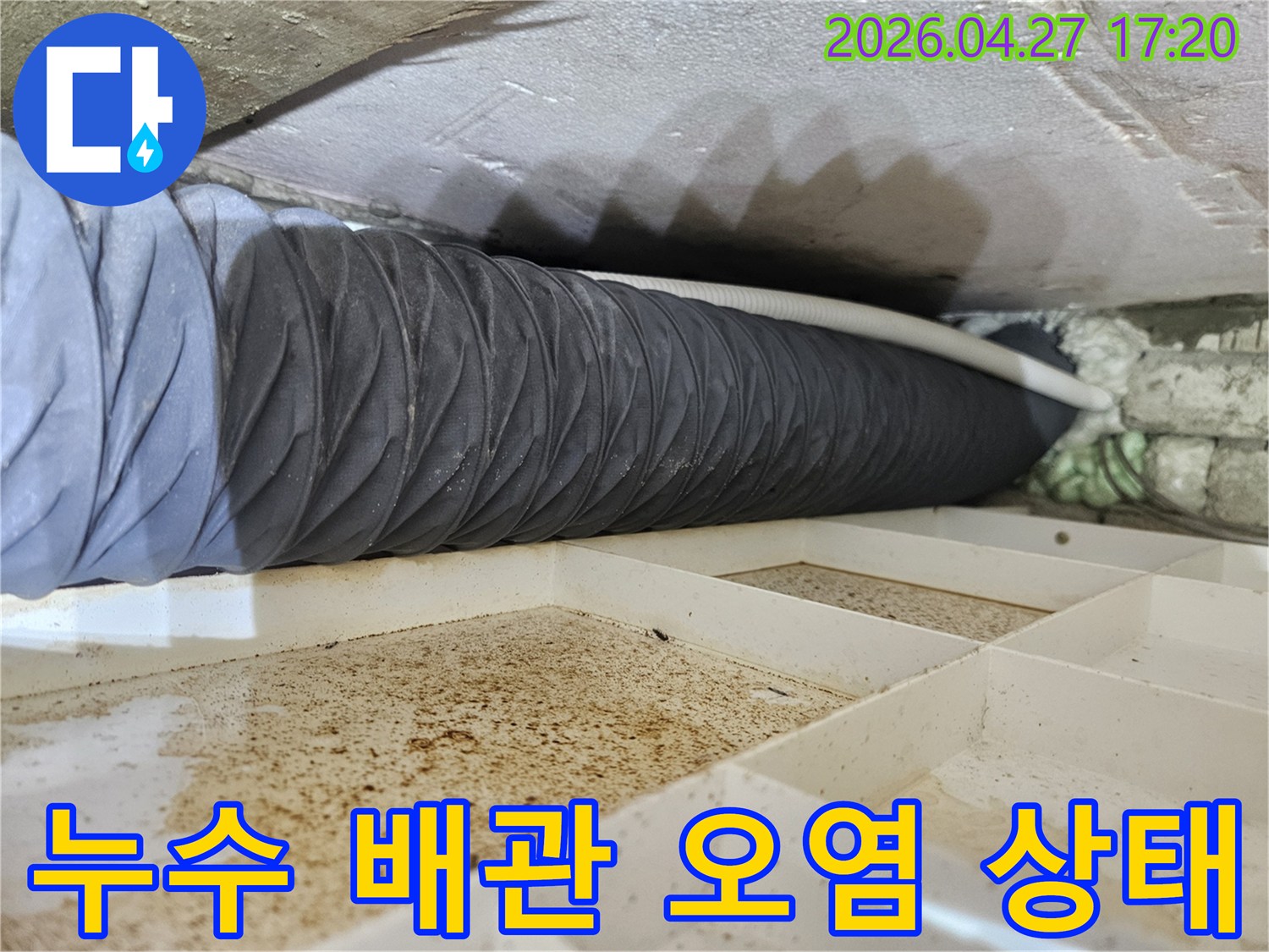 오염된 배관과-물받이 트레이에-고인 물의-심각성을 보여주는-사진입니다.