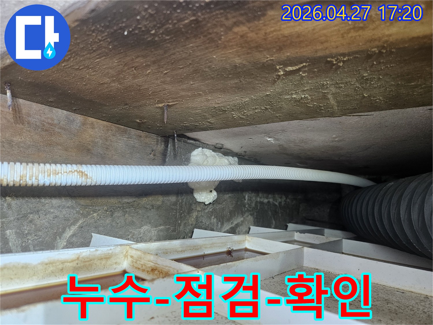 욕실-천장-누수-현장에서-꼼꼼하게-누수-지점을-점검하고-확인하는-전문가의-모습