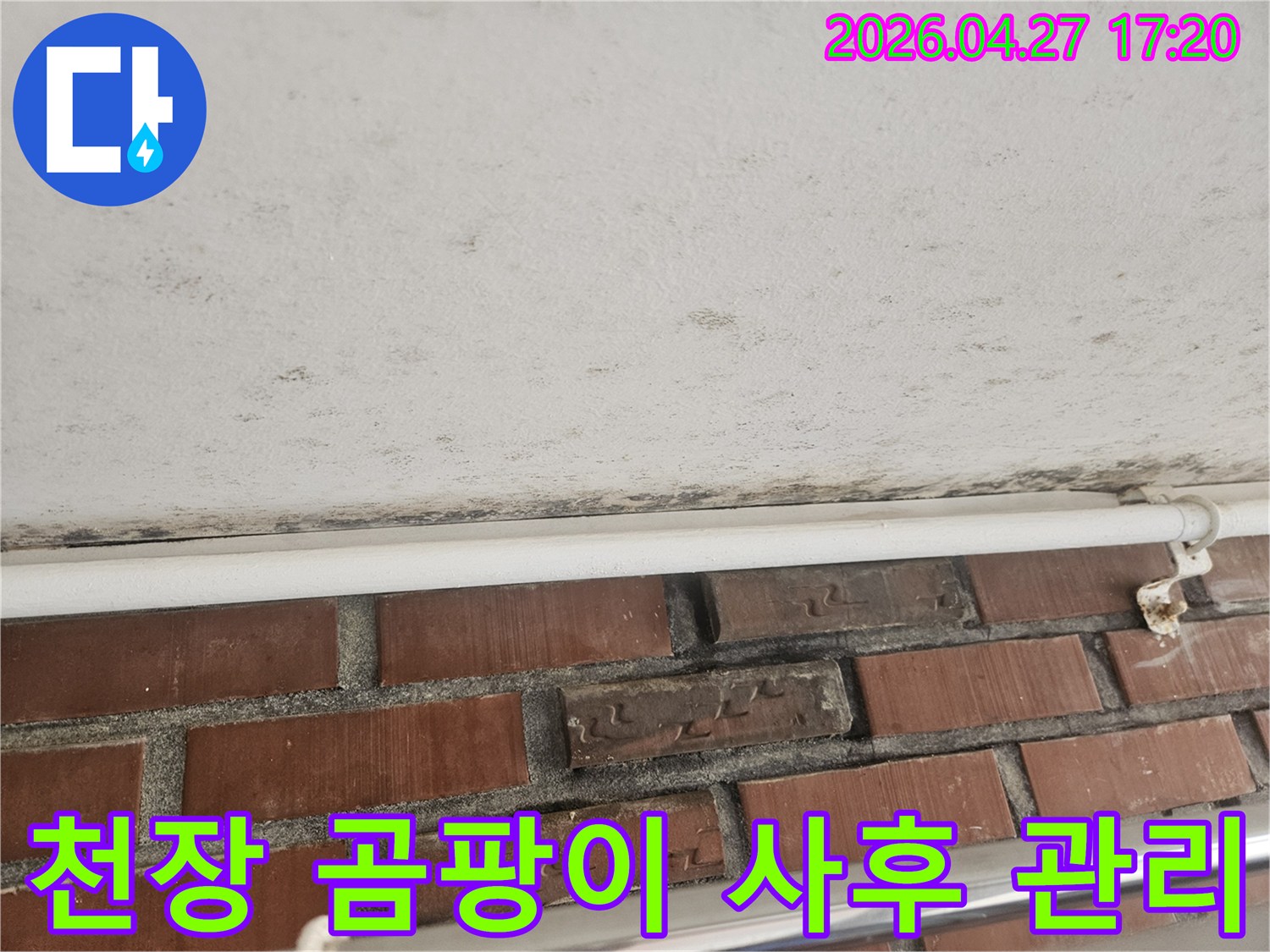 천장과 벽의 경계에 생긴 검은 곰팡이와-누수 흔적이 보이는 현장 사진입니다.