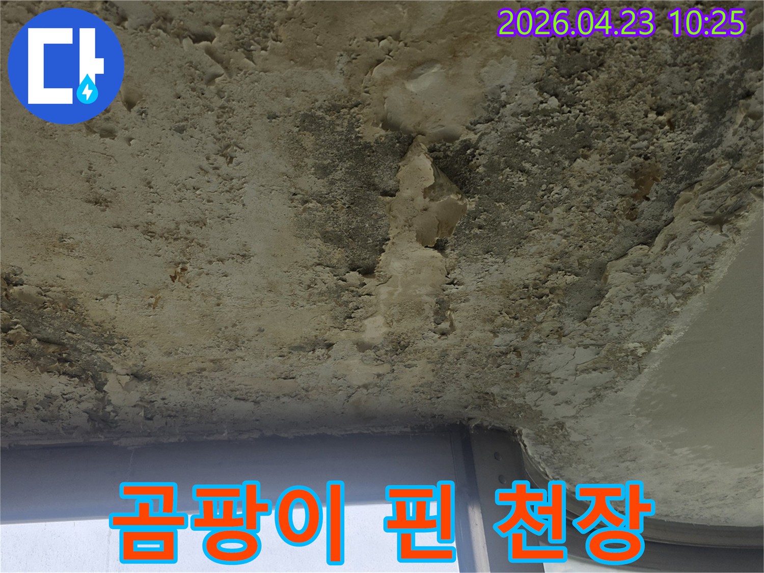 습기와 곰팡이로 오염된 천장 표면은-누수가 진행되고 있음을 명확히 나타냅니다