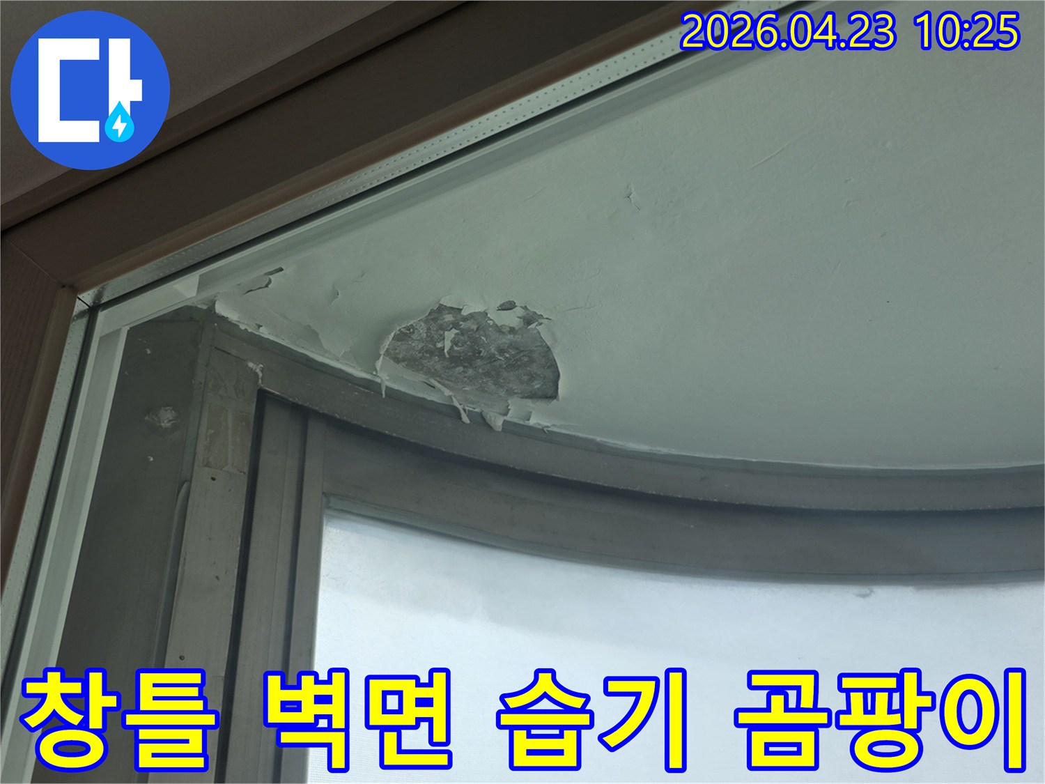 창틀-주변-벽면이-누수로-인해-습기를-머금고-곰팡이가-번식한-모습