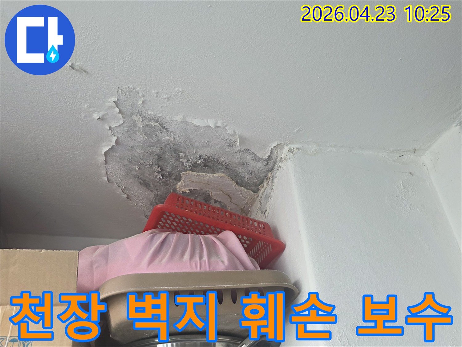 천장 모서리에서 물이 새어-벽지가 젖고-곰팡이가 번진 상황-보수 전