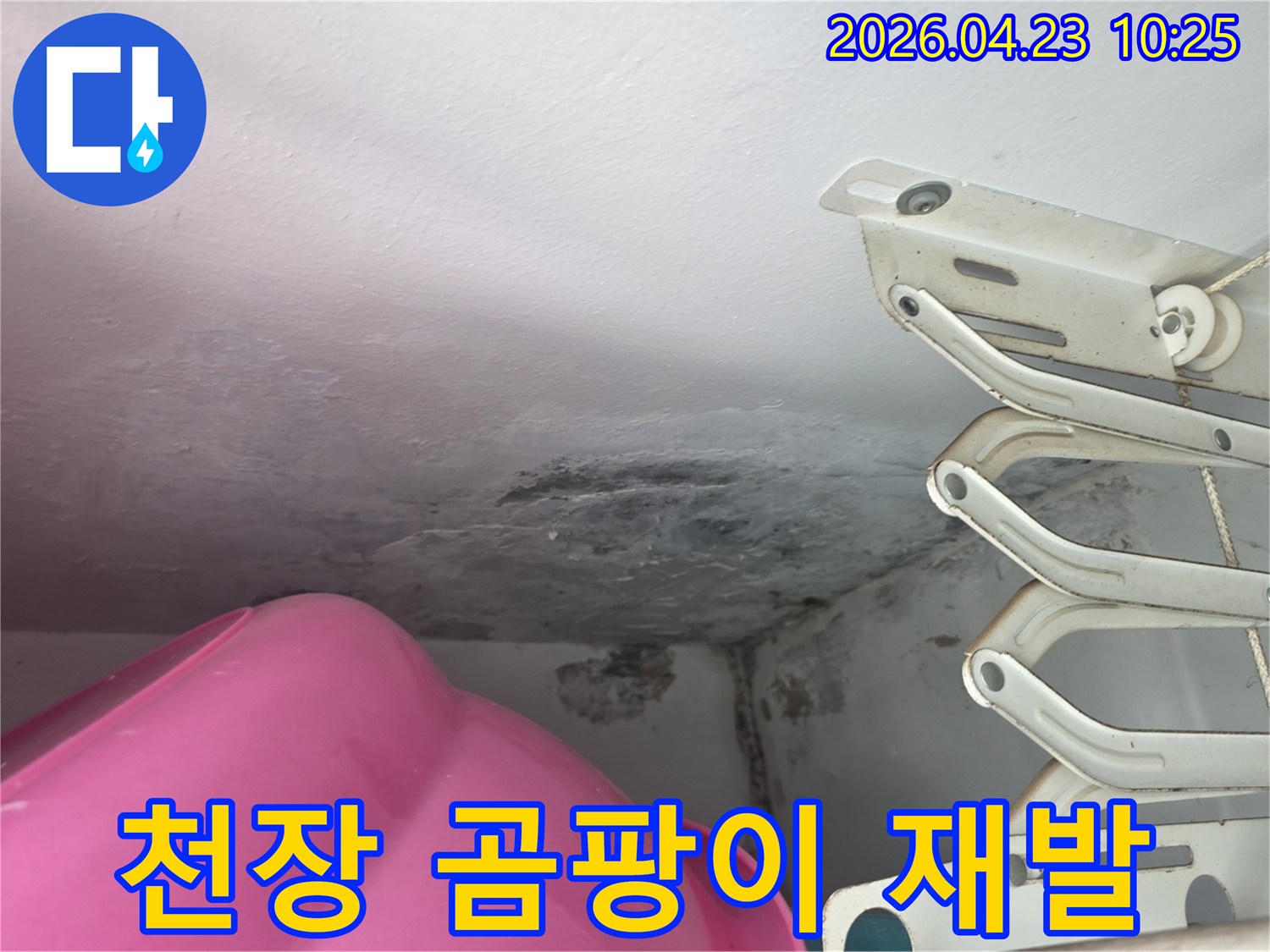천장-코너에-누수로-인한-심각한-물자국과-검은-곰팡이가-발생한-모습