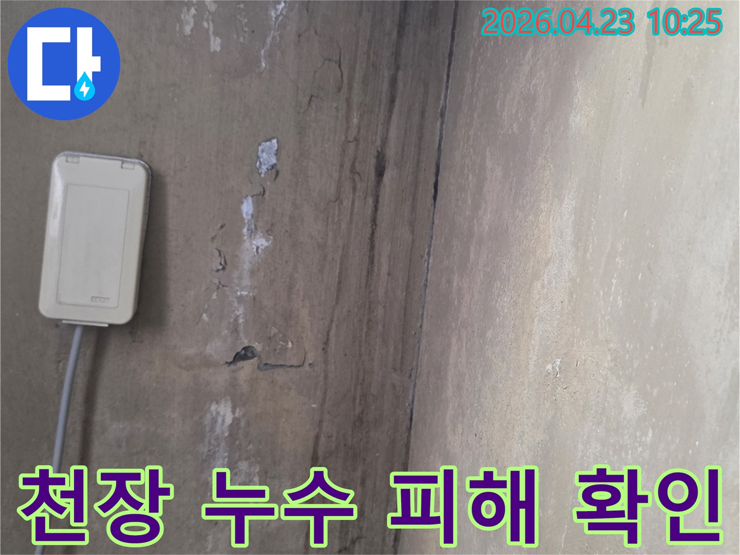 천장과-벽면-경계에-발생한-누수-얼룩과-곰팡이-현상-사진