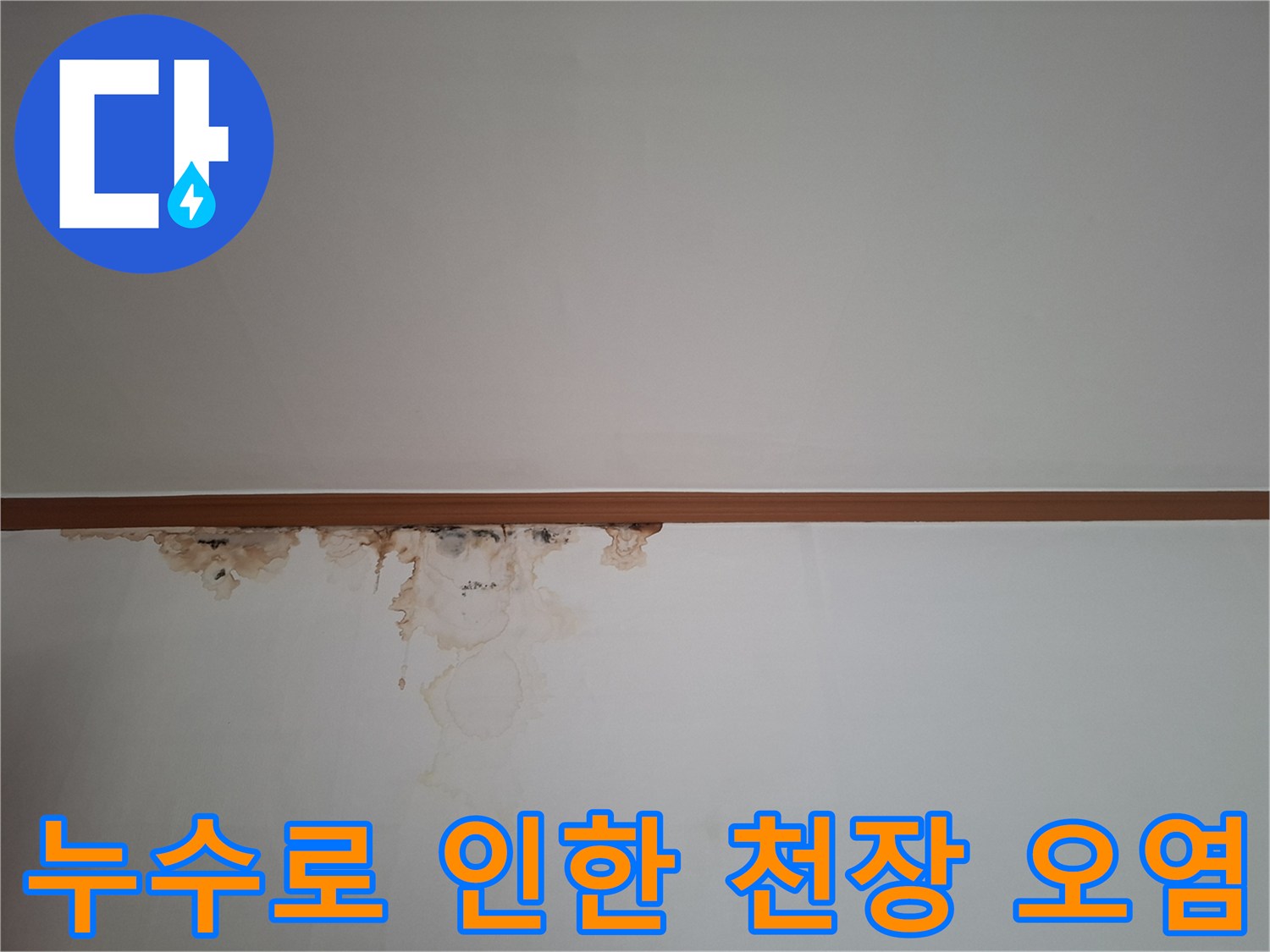 천장-몰딩-주변의-심각한-누수-얼룩과-오염