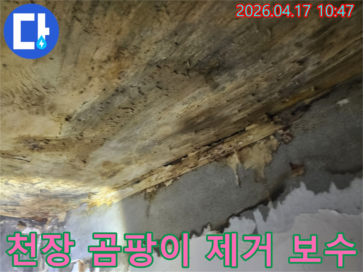 누수로-인해-발생한-천장-곰팡이를-제거하고-손상된-부분을-보수하는-과정
