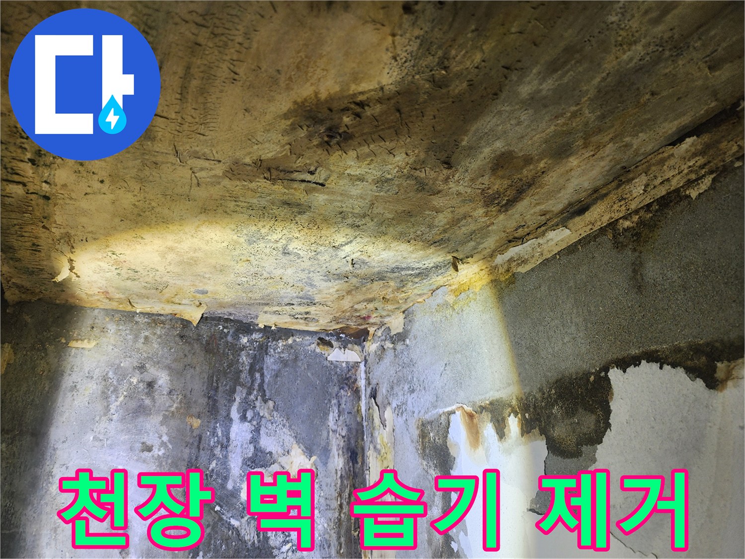 누수로 인해-천장과 벽면이 심하게 젖어-습기가 가득한 현장 모습