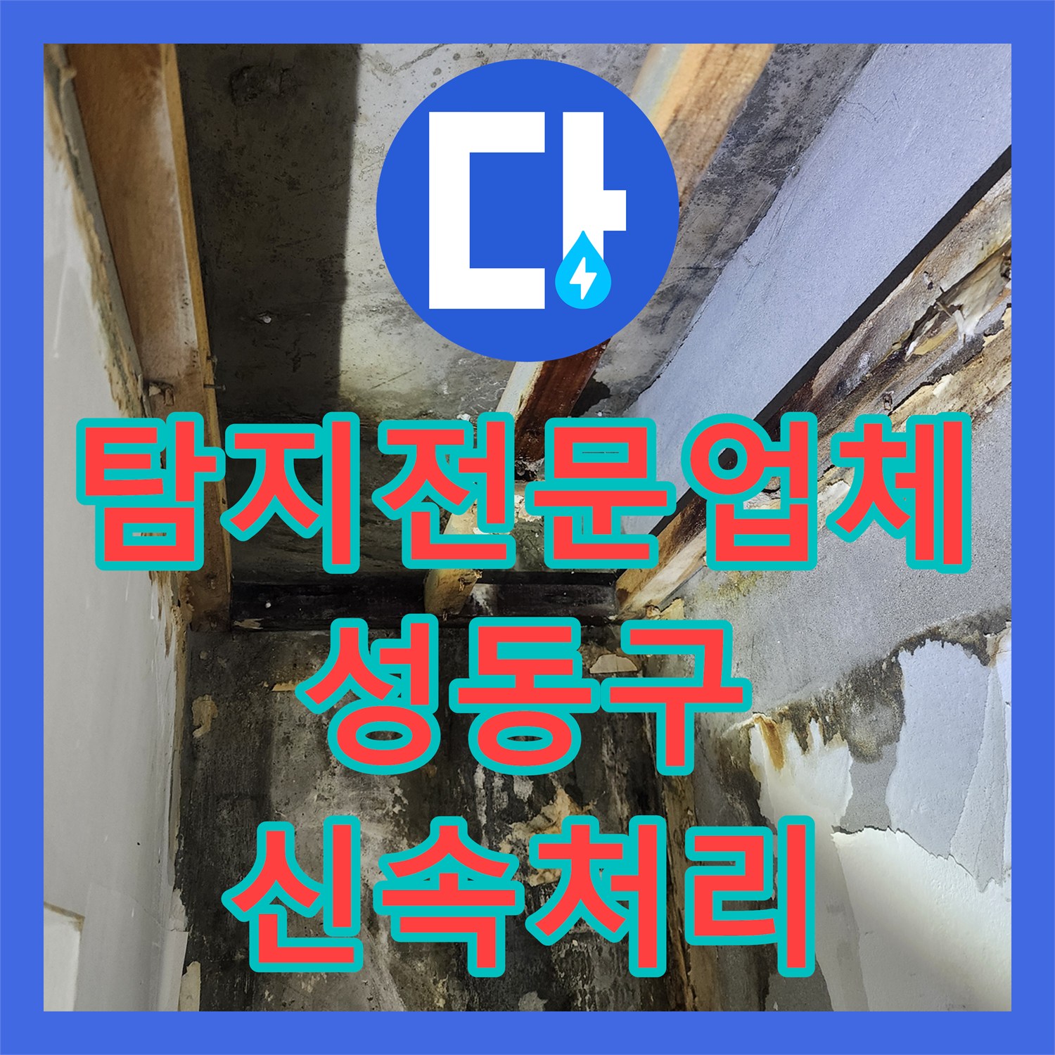 누수탐지전문업체, 까다로운 화장실 누수와 오수 냄새 해결의 꼼꼼한 탐지로 문제점을 밝혀낸 성동구 현장 이야기