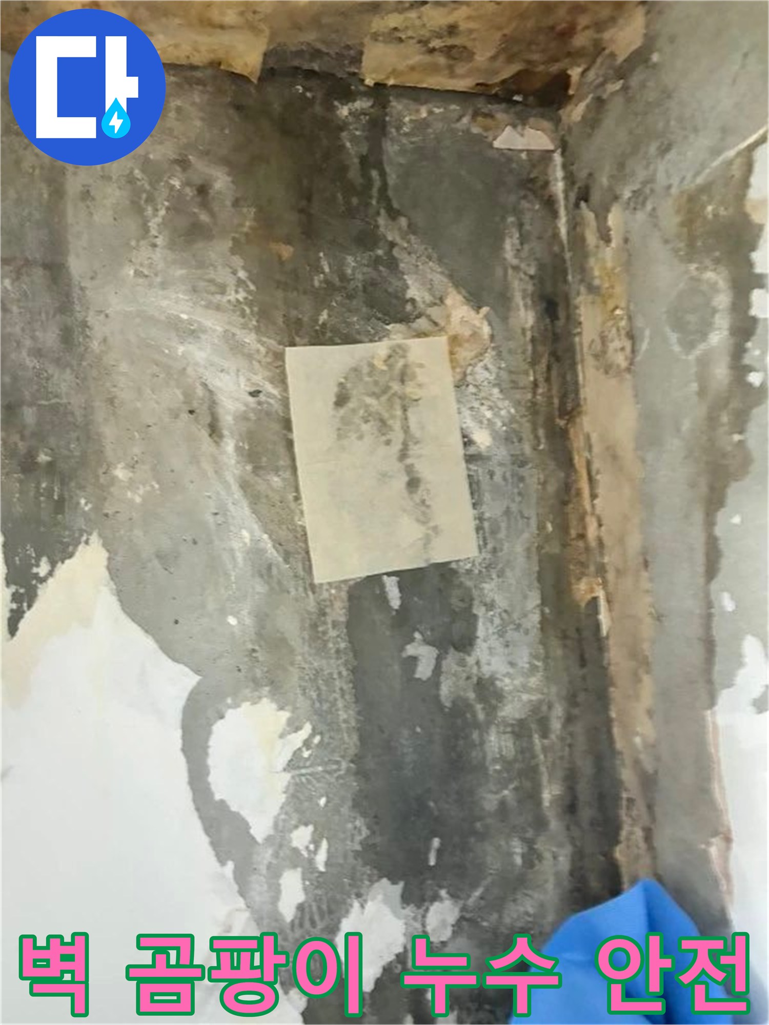 벽면에 나타난 곰팡이와 물자국은-건물 안전에 대한 우려를 보여줍니다
