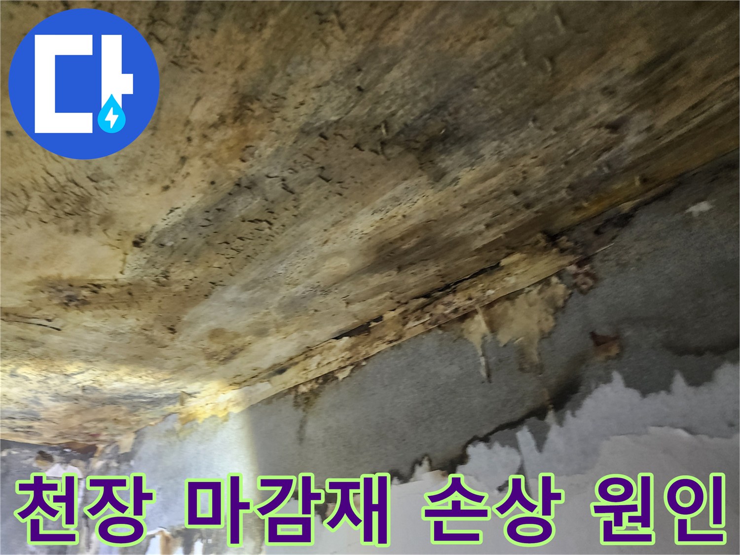 천장-마감재의-심각한-손상-상태를-통해-누수-원인을-분석하고-있는-모습
