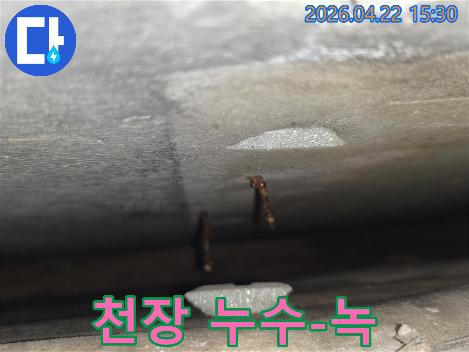 누수 탐지 중-습기와 함께-발견된-부식된 못과-물샘의 증거입니다