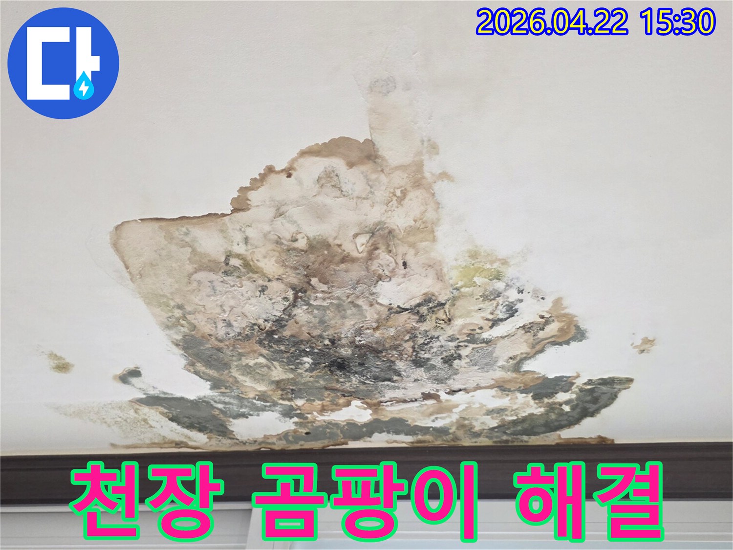 누수로-인해-천장에-발생한-곰팡이와-오염을-해결하고-쾌적한-환경으로-개선해야-합니다