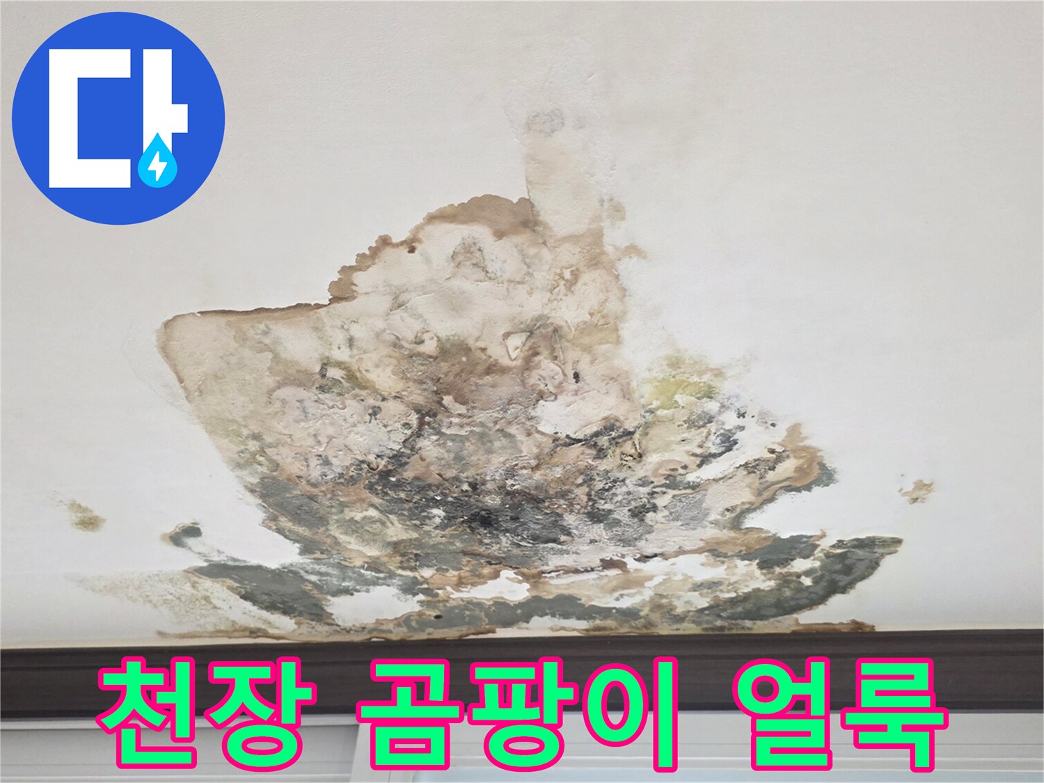 벽장 천장-누수 흔적과 곰팡이가 퍼진 모습