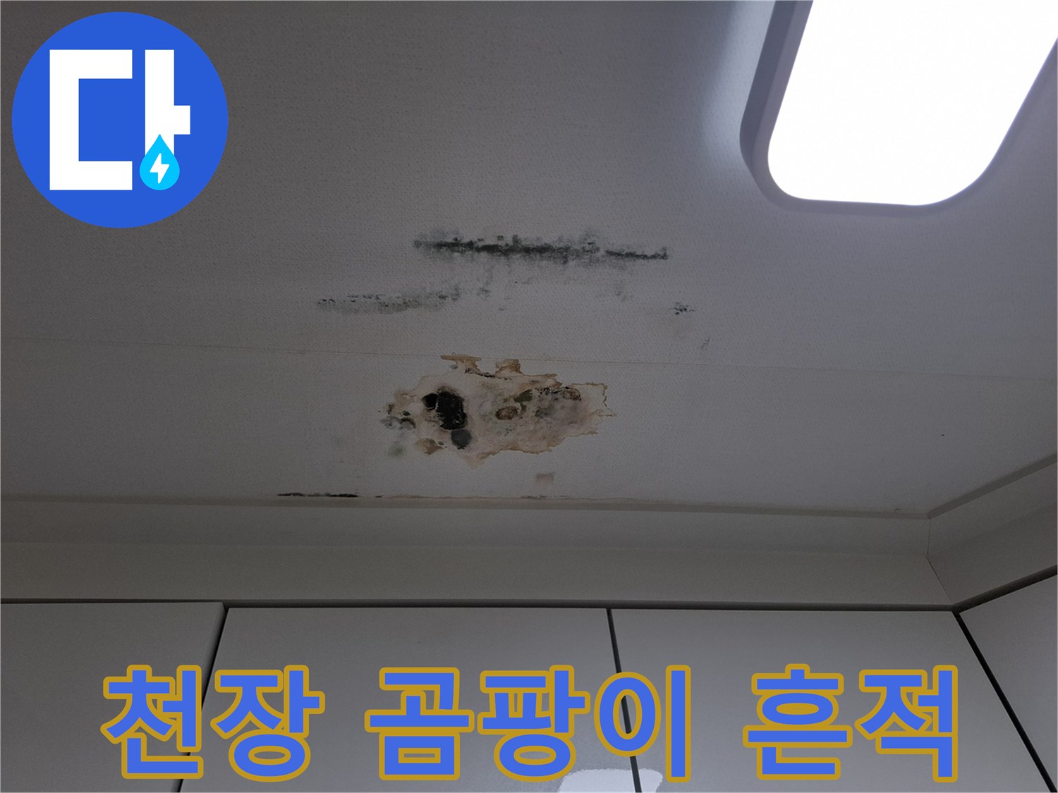 천장 면에 넓게 분포된 검은색 곰팡이와 물스며든 자국