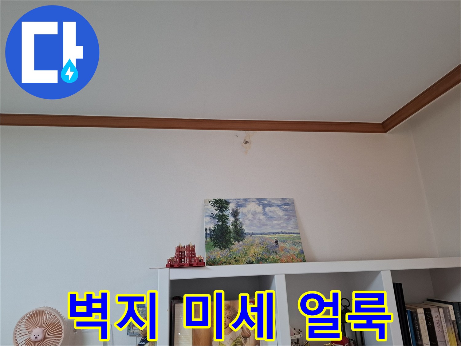 하얀색 천장 벽지에 나타난-작은 갈색 물자국 형태