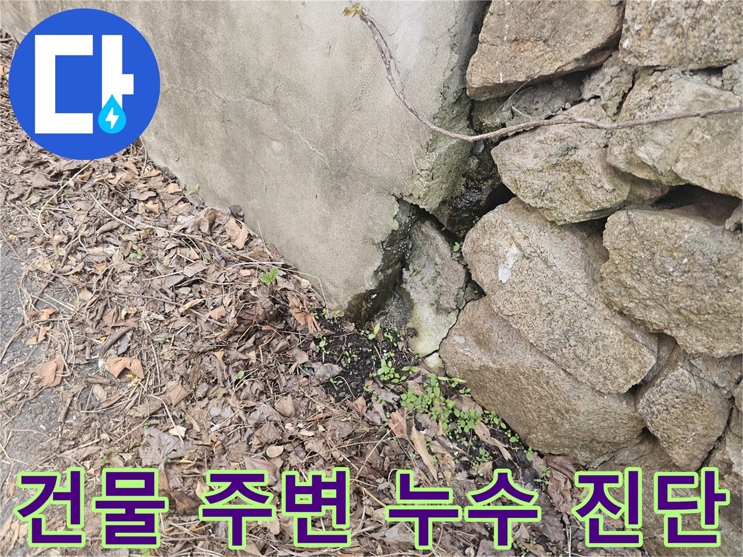 콘크리트 벽과-돌담 사이에서-물이 새는-건물 주변-누수 현장을-정밀하게-진단하는-사진입니다