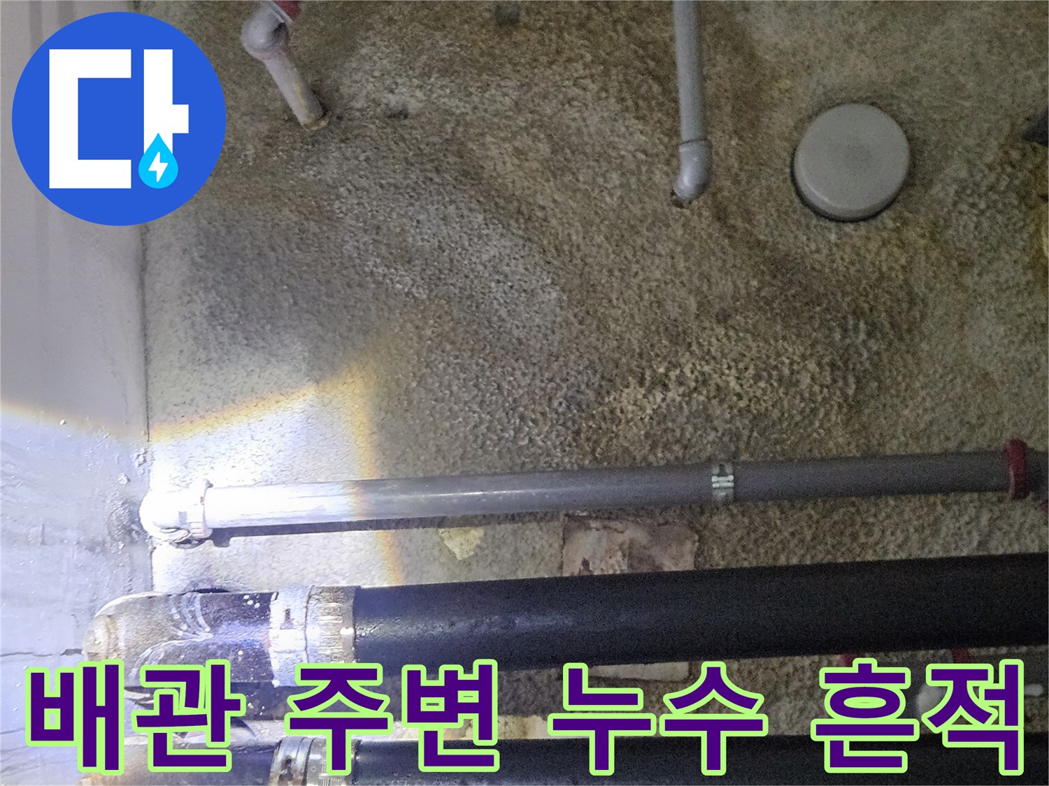 젖은 단열재가 관찰되는 지하 주차장 천장 배관입니다.