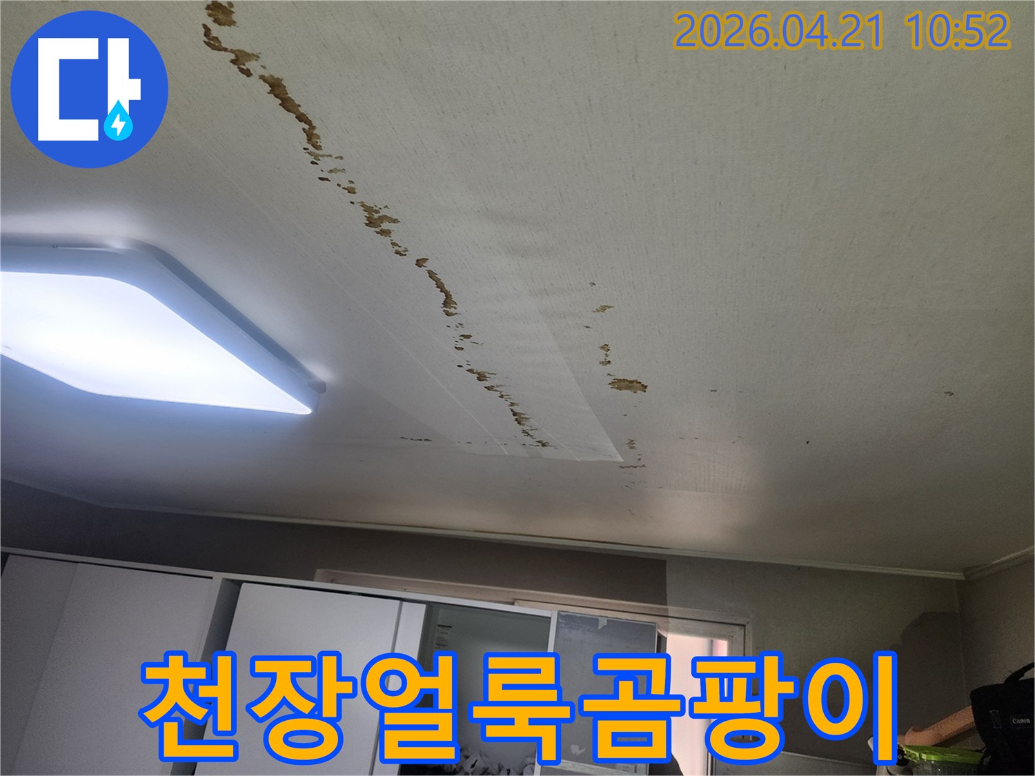 천장-누수로-인해-벽지에-짙은-얼룩과-곰팡이가-생긴-단독주택-현장-사진입니다