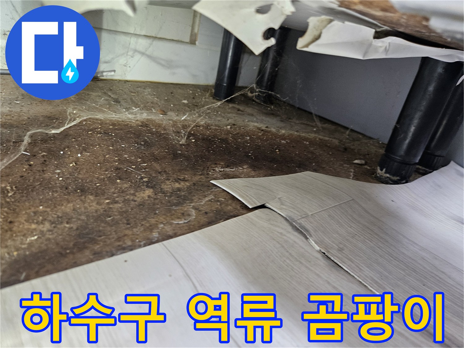하수구-역류로-인해-바닥이-오염되고-곰팡이가-시작된-듯한-누수-현장
