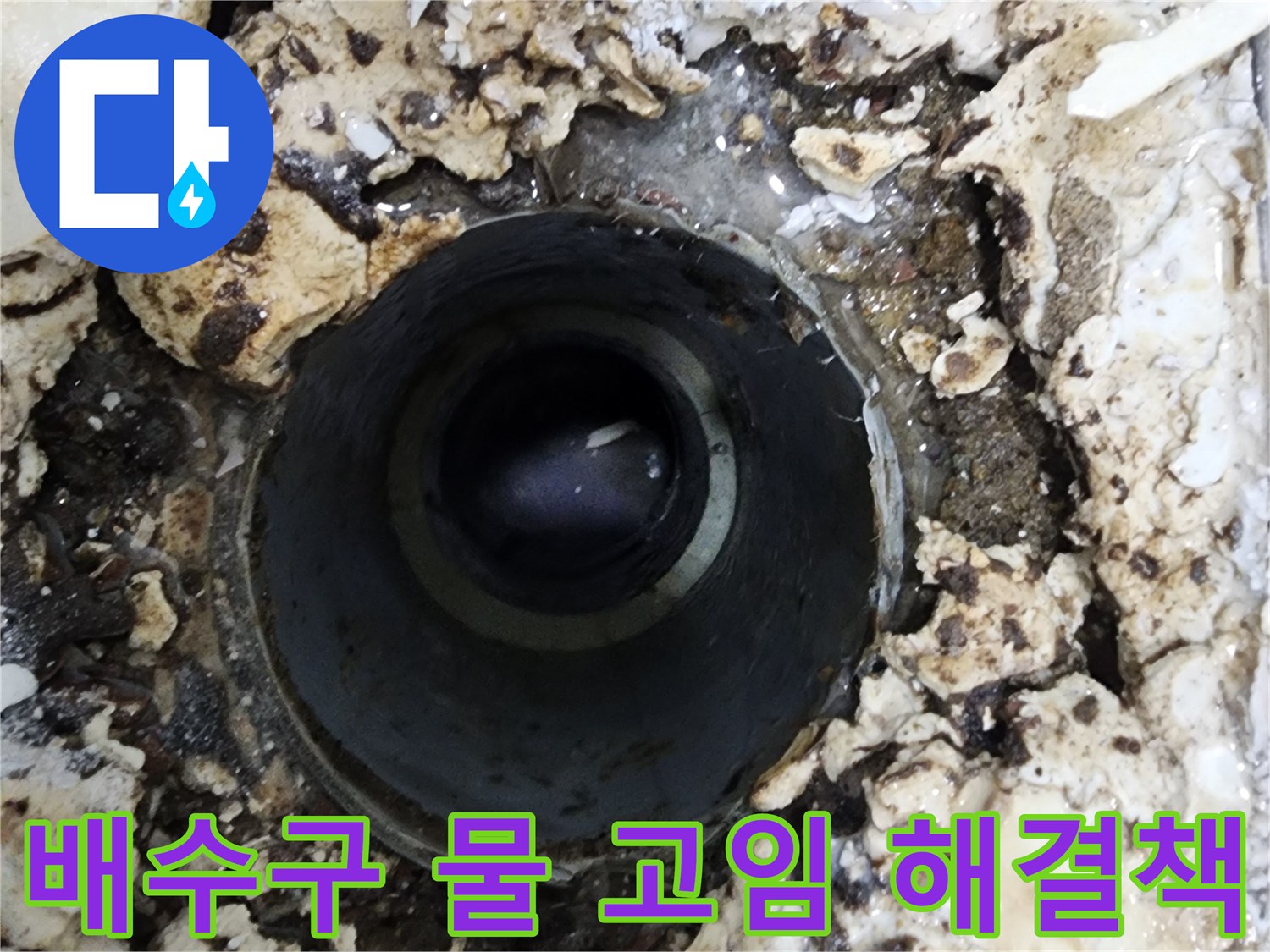 다세대주택 욕실 배수구 주변에서-발견된 물 고임 현상을-해결하기 위한 방안을 모색하는 모습