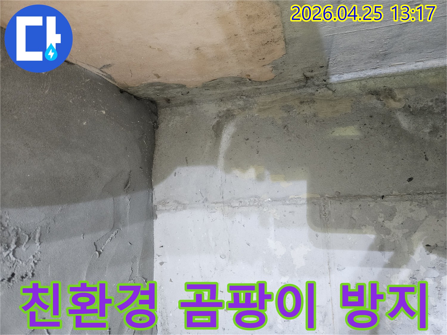 광명시-하안동-아파트-누수-현장에서-친환경-곰팡이-방지-시공을-준비하는-모습입니다.
