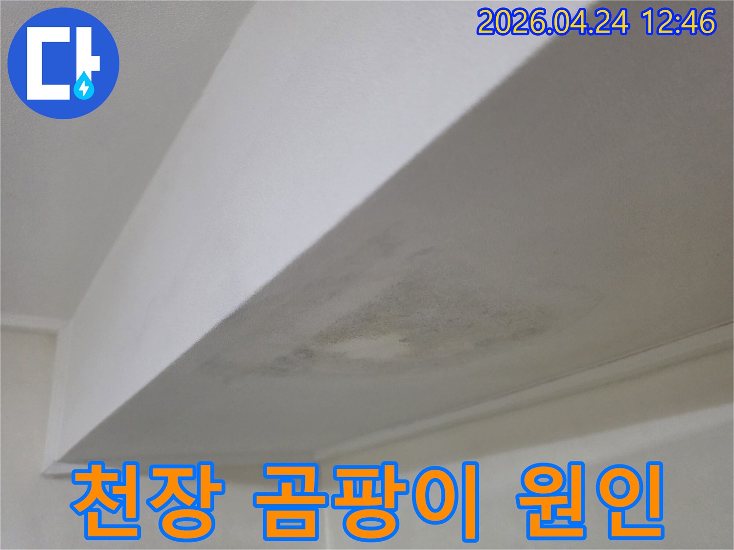 천장에 발생한 곰팡이와 물자국-누수 전문가가 원인을 점검하고 진단하는 사진