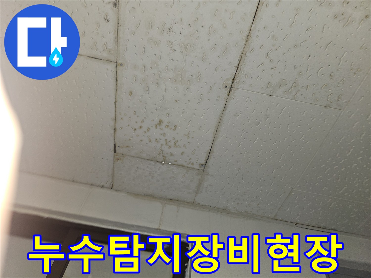 천장에서 물이 새는-누수 현장에서-첨단 누수 탐지 장비를-활용하여-정확한 지점을 찾는 모습입니다.