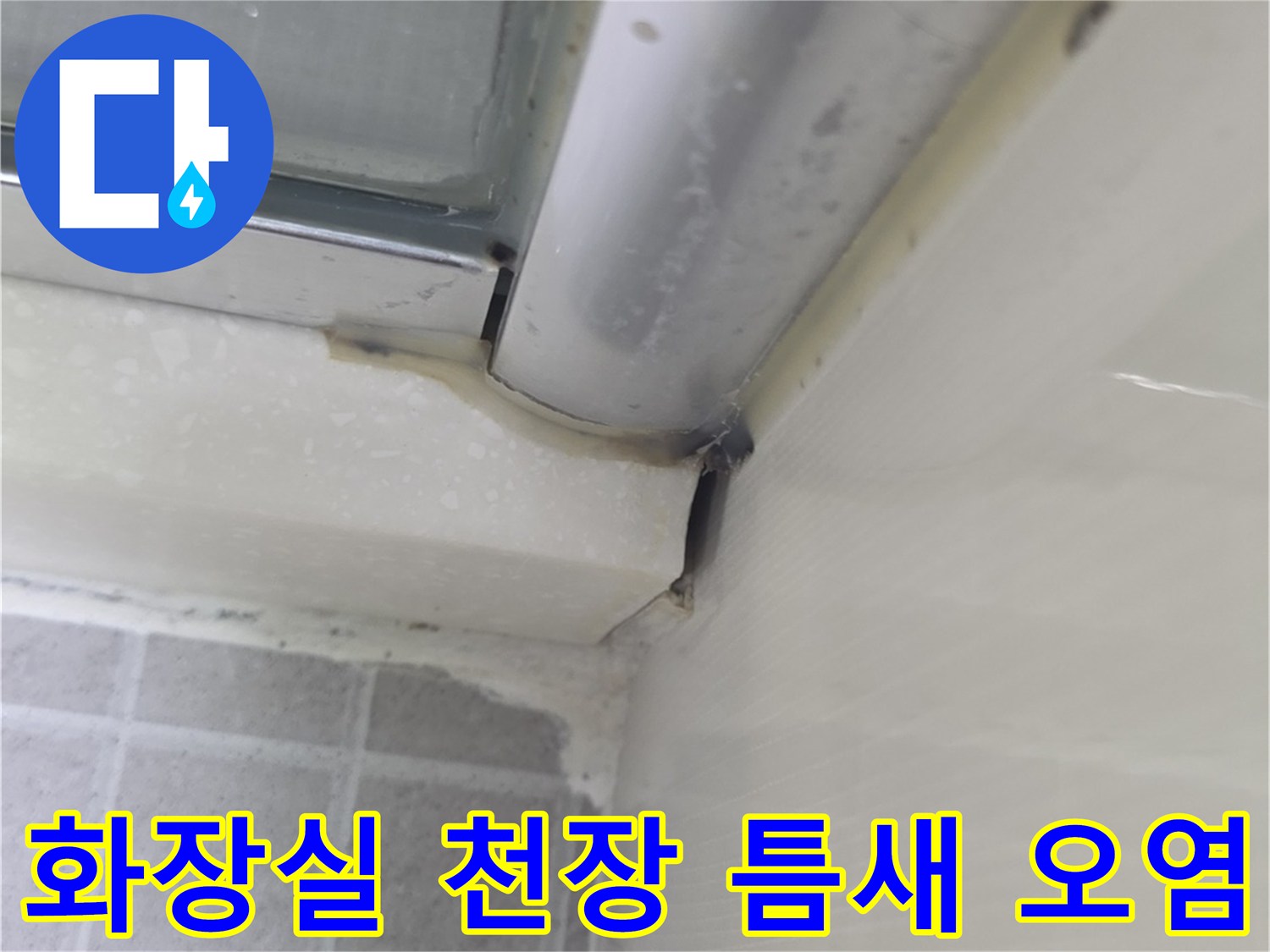 성동구-금호동-화장실-천장-배관-주변-오염-상태