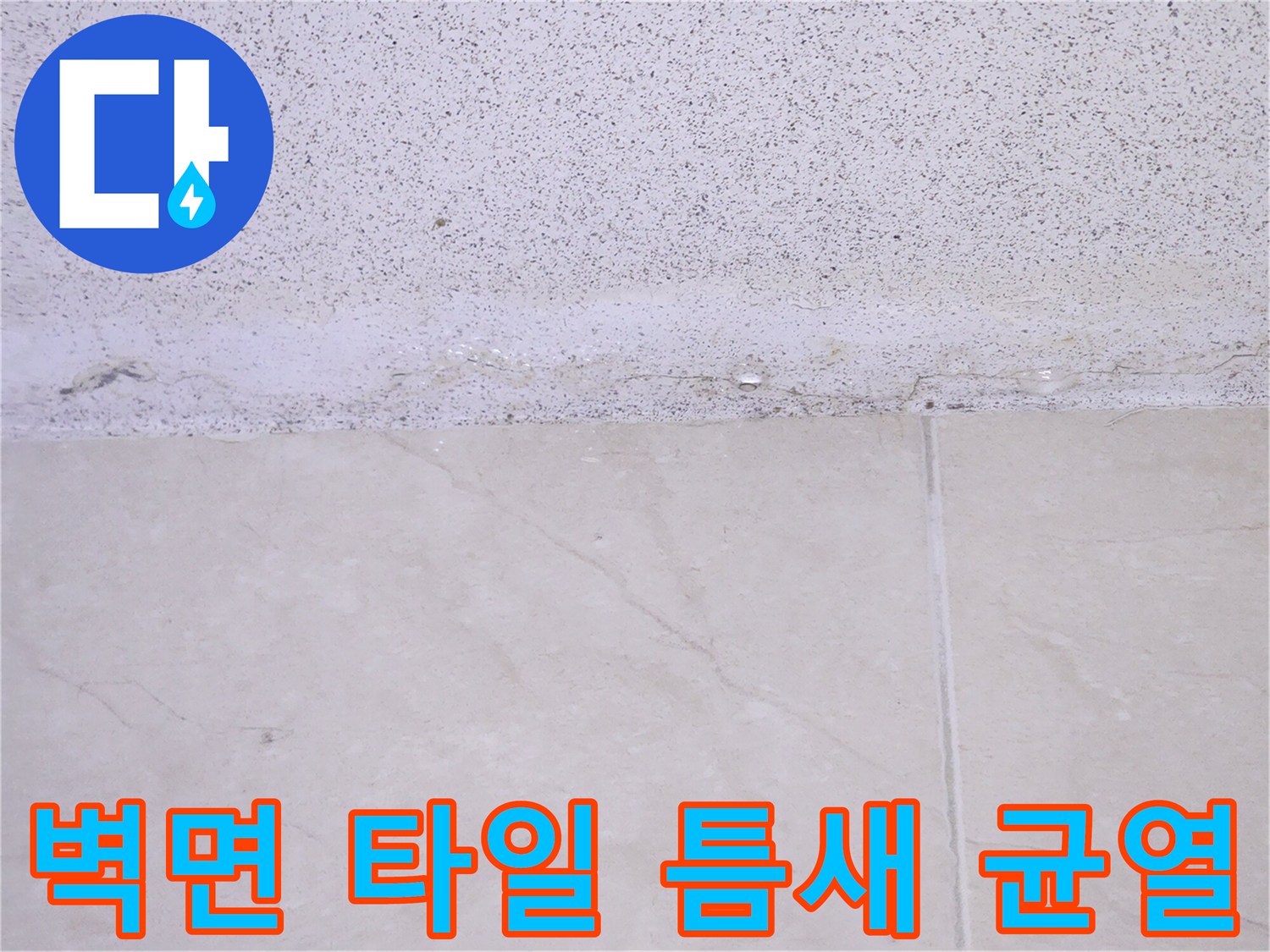 타일 접합부의 미세한 균열과 메지 탈락 부위 근접 촬영