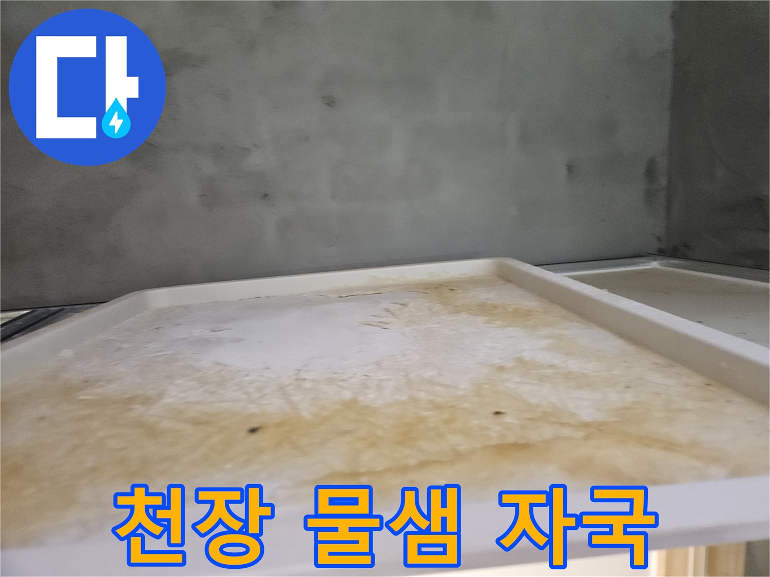 누수 엔지니어가 촬영한-아래층 욕실 천장 누수 피해-현장 사진입니다