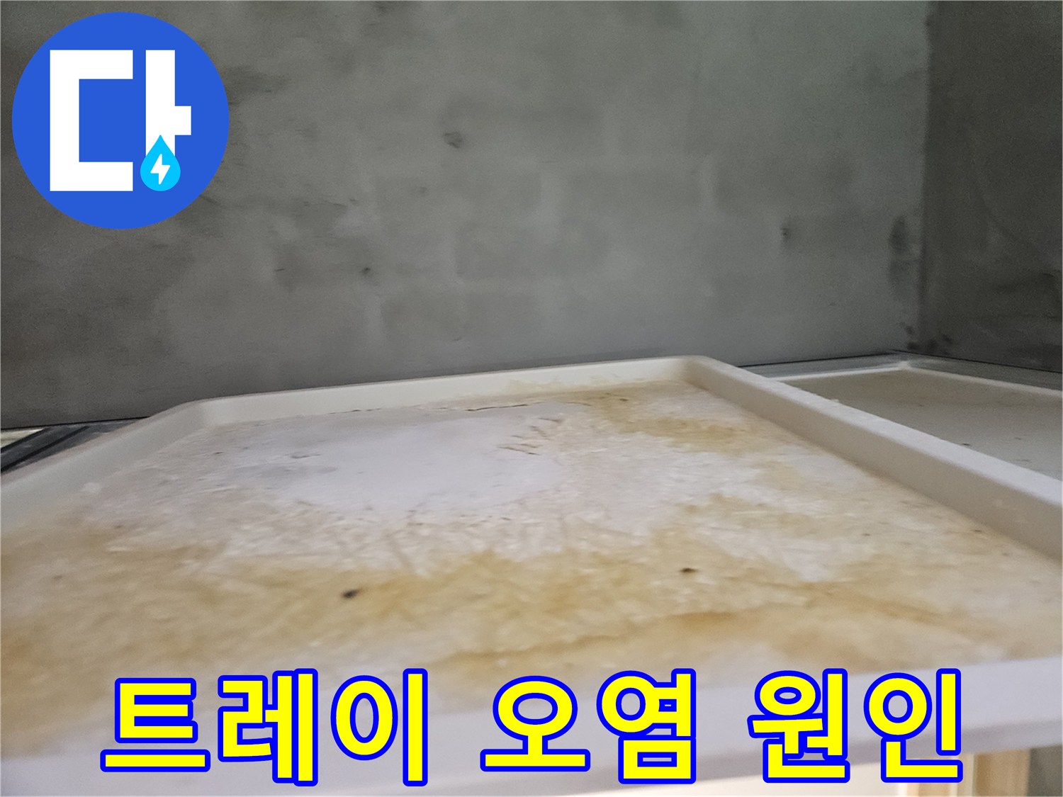 욕실 천장에 발생한-누수로 인한-물자국과 오염된 트레이의 모습입니다