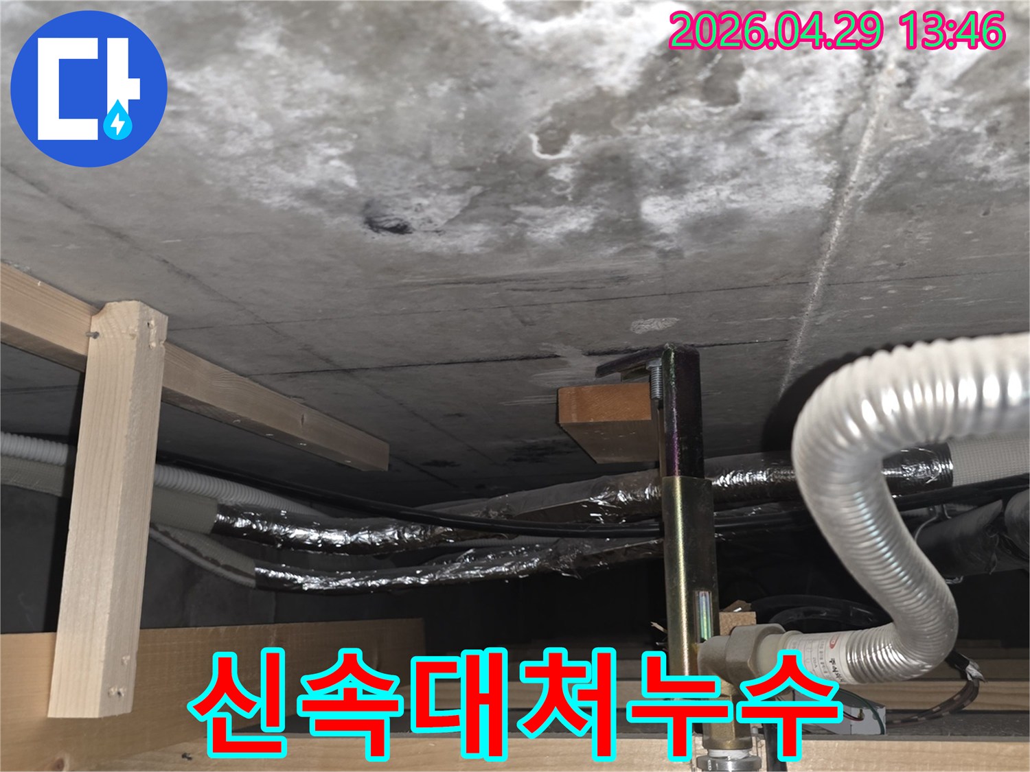 누수로 젖은 콘크리트 천장-배관 주변 정밀 탐지-신속한 대처