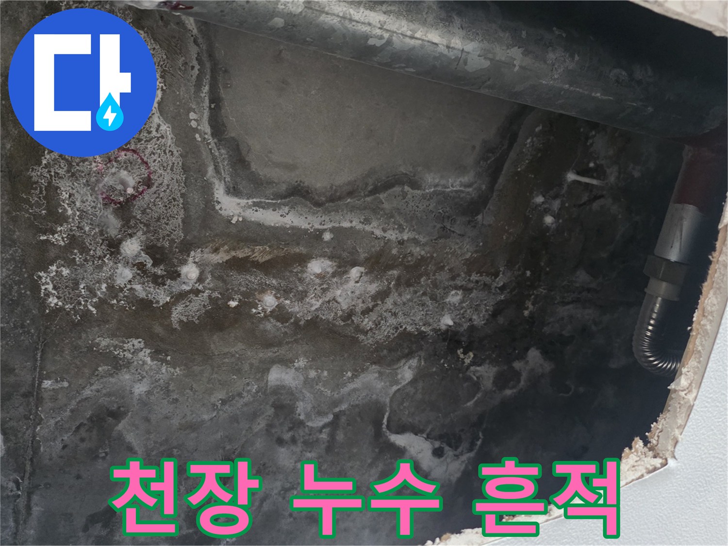 안양 비산동 아파트 천장 내부의 젖은 콘크리트 상태를 보여주는 사진입니다.