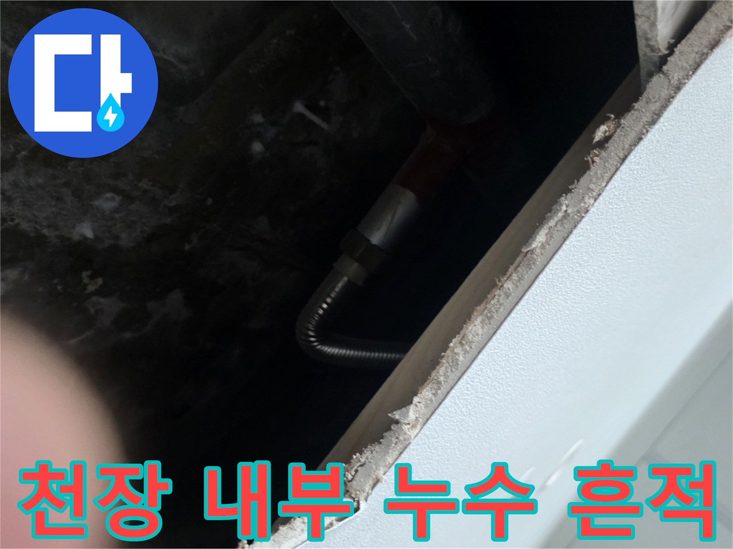 축축하게 젖어있는 천장 콘크리트와 배관 주변의 습기 상태를 보여줍니다.