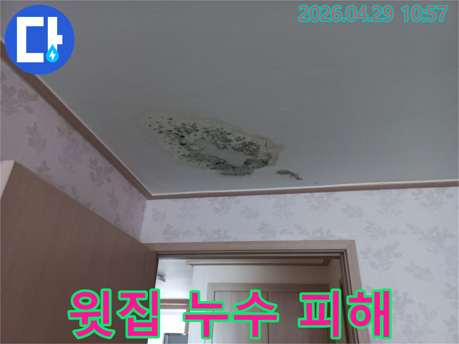 오랜-기간-지속된-누수로-인해-천장이-훼손되고-곰팡이가-생긴-모습입니다.