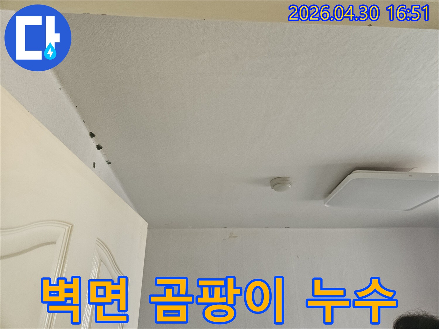 벽면과-천장-이음새에-나타난-물자국과-곰팡이-흔적을-선명하게-보여주는-사진입니다.