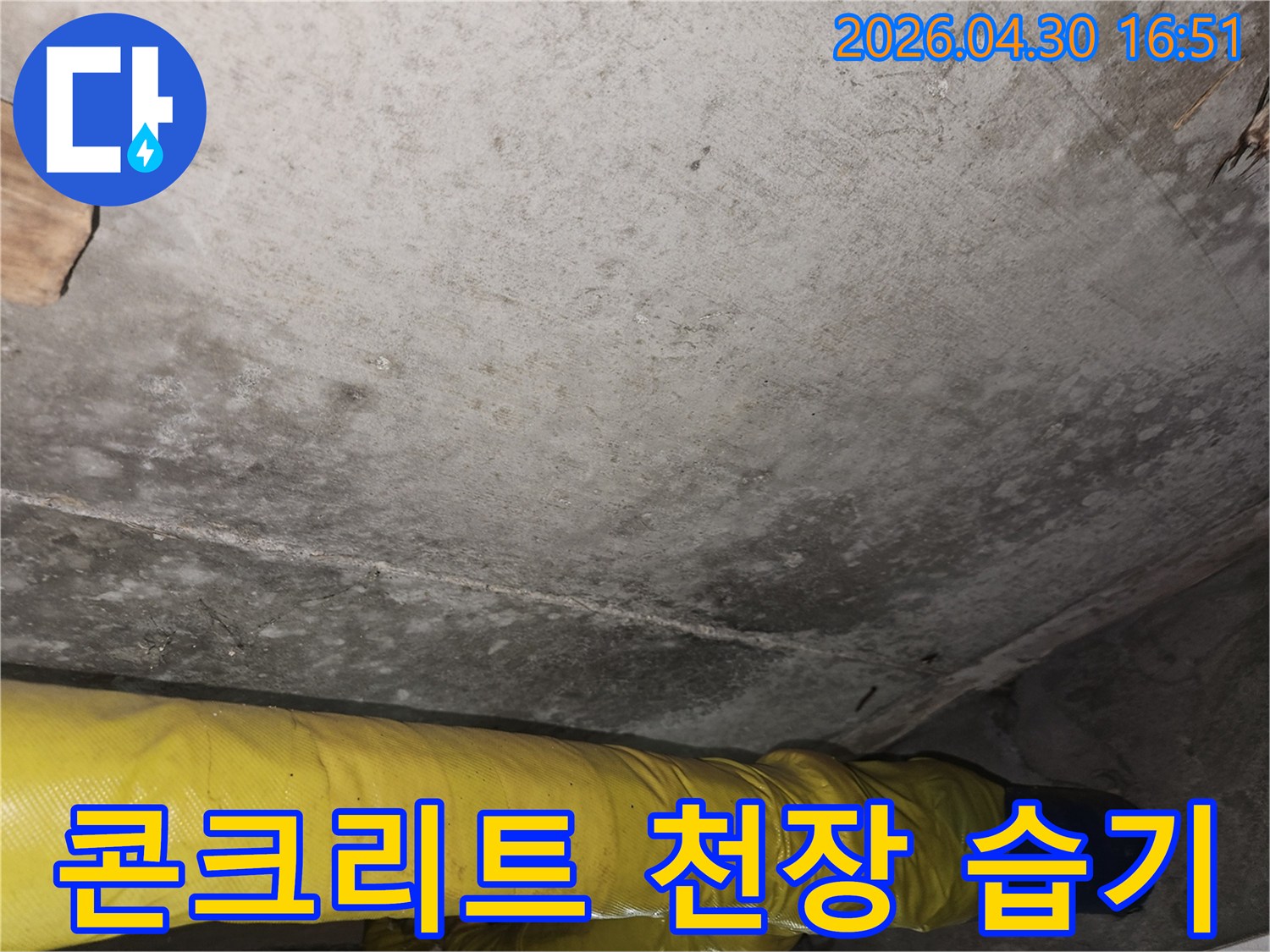 포천 리버아파트의 콘크리트 천장에서-발견된 습기와-곰팡이 흔적을-누수 전문가가-면밀히 조사하는 현장