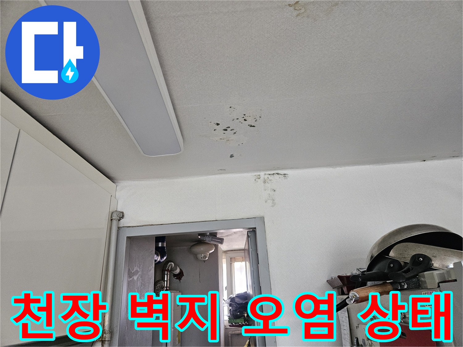 포천 일동면 현장의 천장 도배지 누수 흔적 및 변색 부위 상세 사진