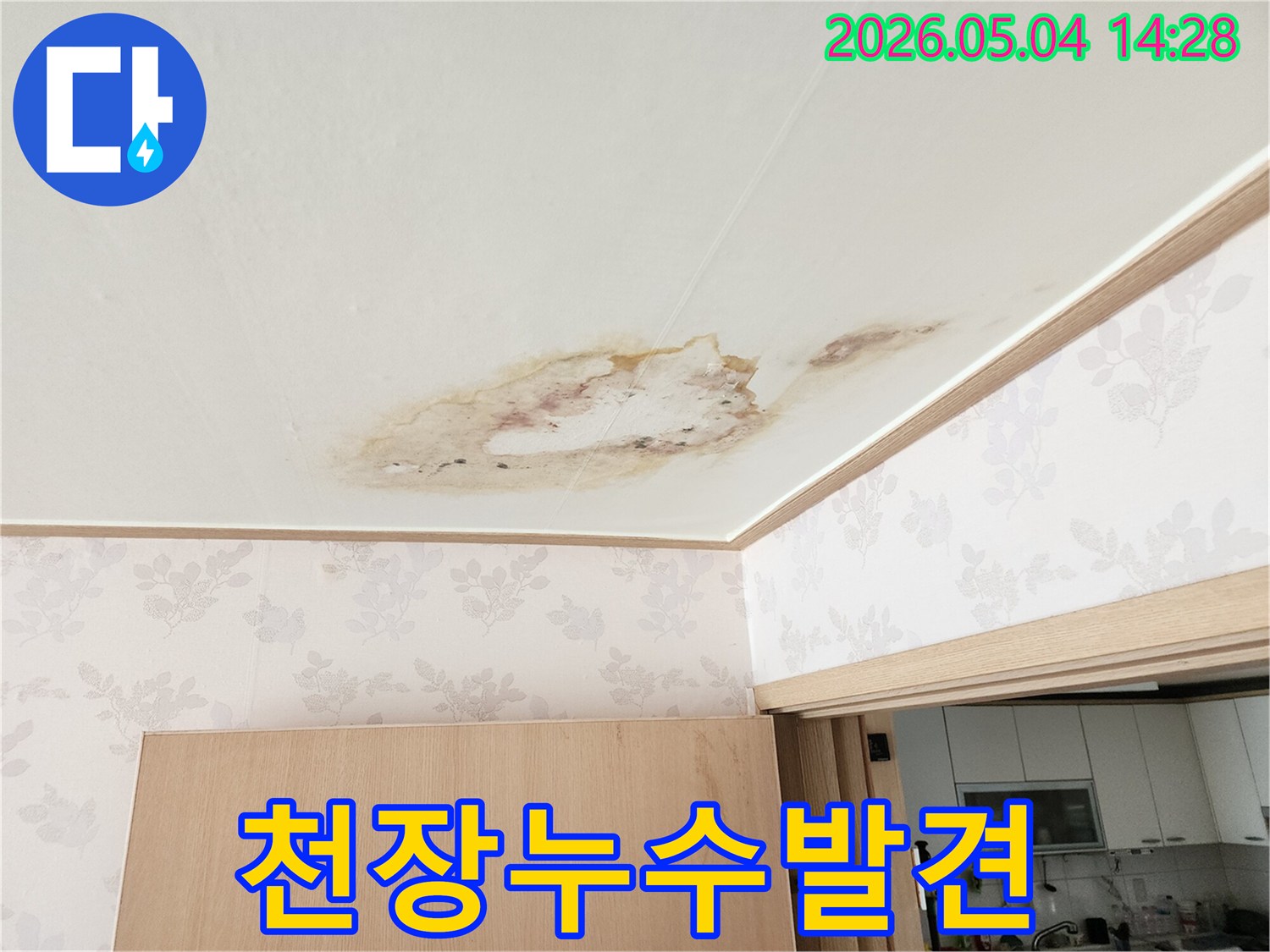 천장에서 물이 새어 곰팡이와 얼룩이 생긴 심각한 누수 피해 현장입니다-빠른 조치가 필요합니다