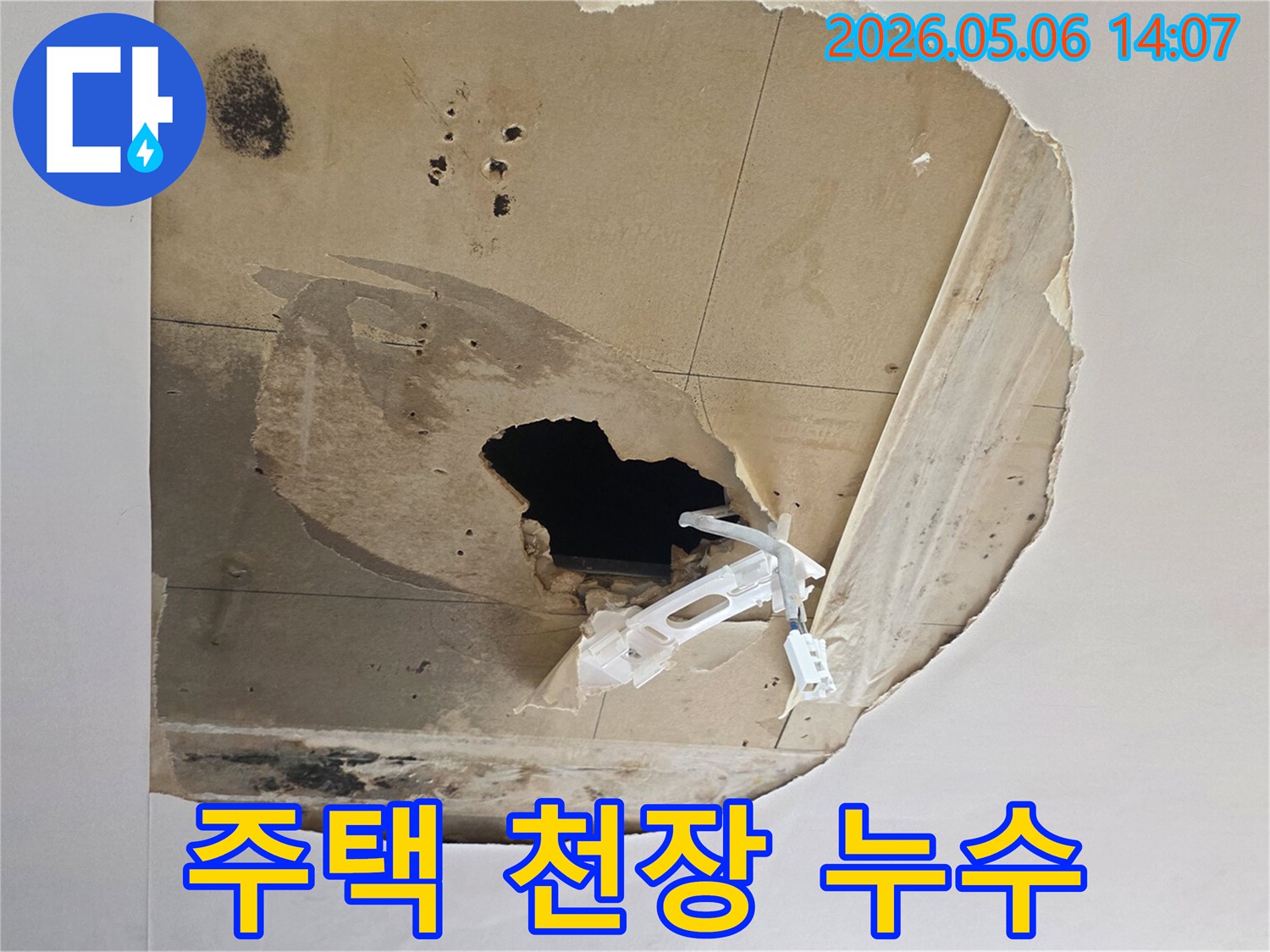 주택-천장이-누수로-인해-심하게-파손되고-물자국과-곰팡이가-번식한-모습