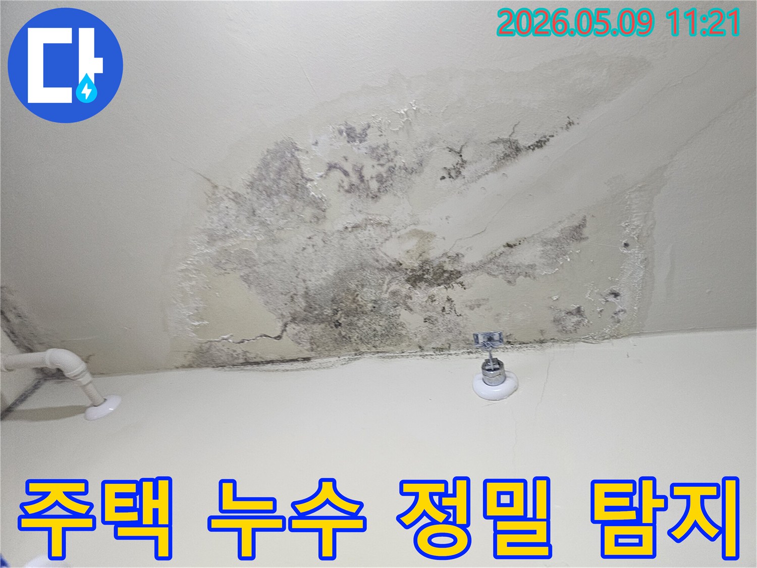 누수 전문가가 시흥 아파트 천장의-물자국과 곰팡이를 확인하며-누수 원인을 추정하고 있는 모습입니다