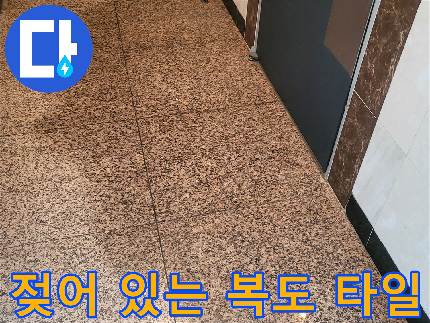 물기에 젖어 어둡게 변한 현관 앞 대리층 타일