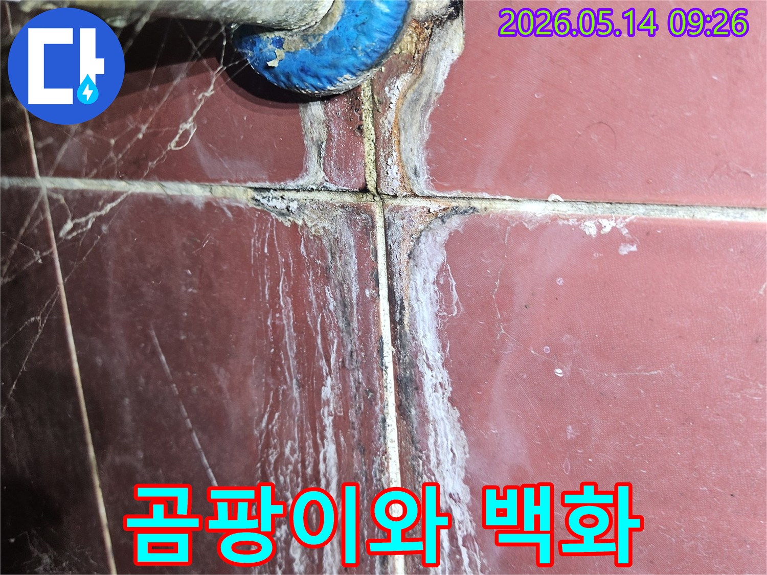 주거 공간의 벽면 타일과 파이프 접합부에서-확인된 만성적인 누수-징후-물때와 곰팡이가 섞여있는 상태