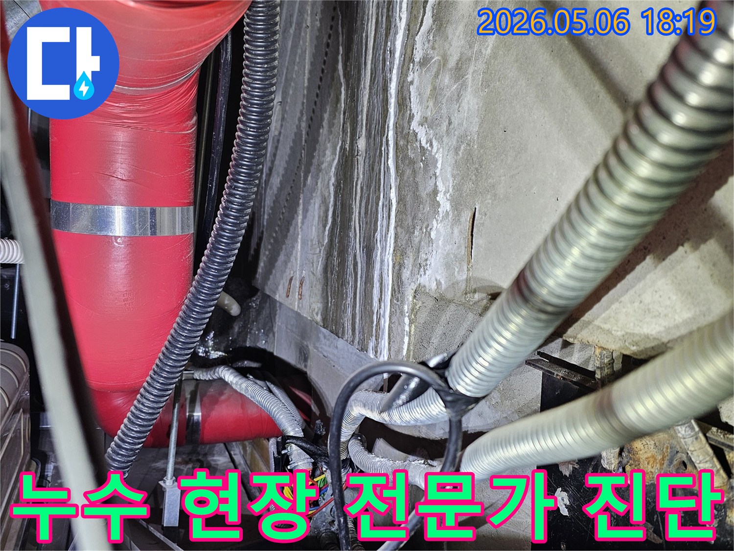 전문가의 시선으로-천장 배관 주변의 누수 흔적을 면밀히 분석하는 모습