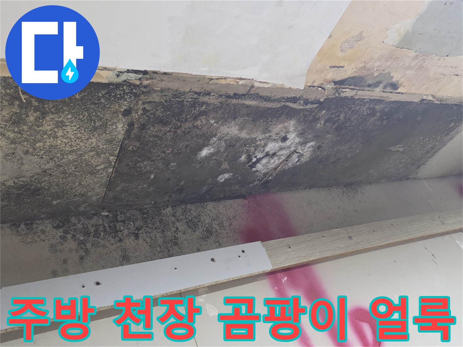 습기 침투로 인한-천장의 검은 곰팡이 오염 상태