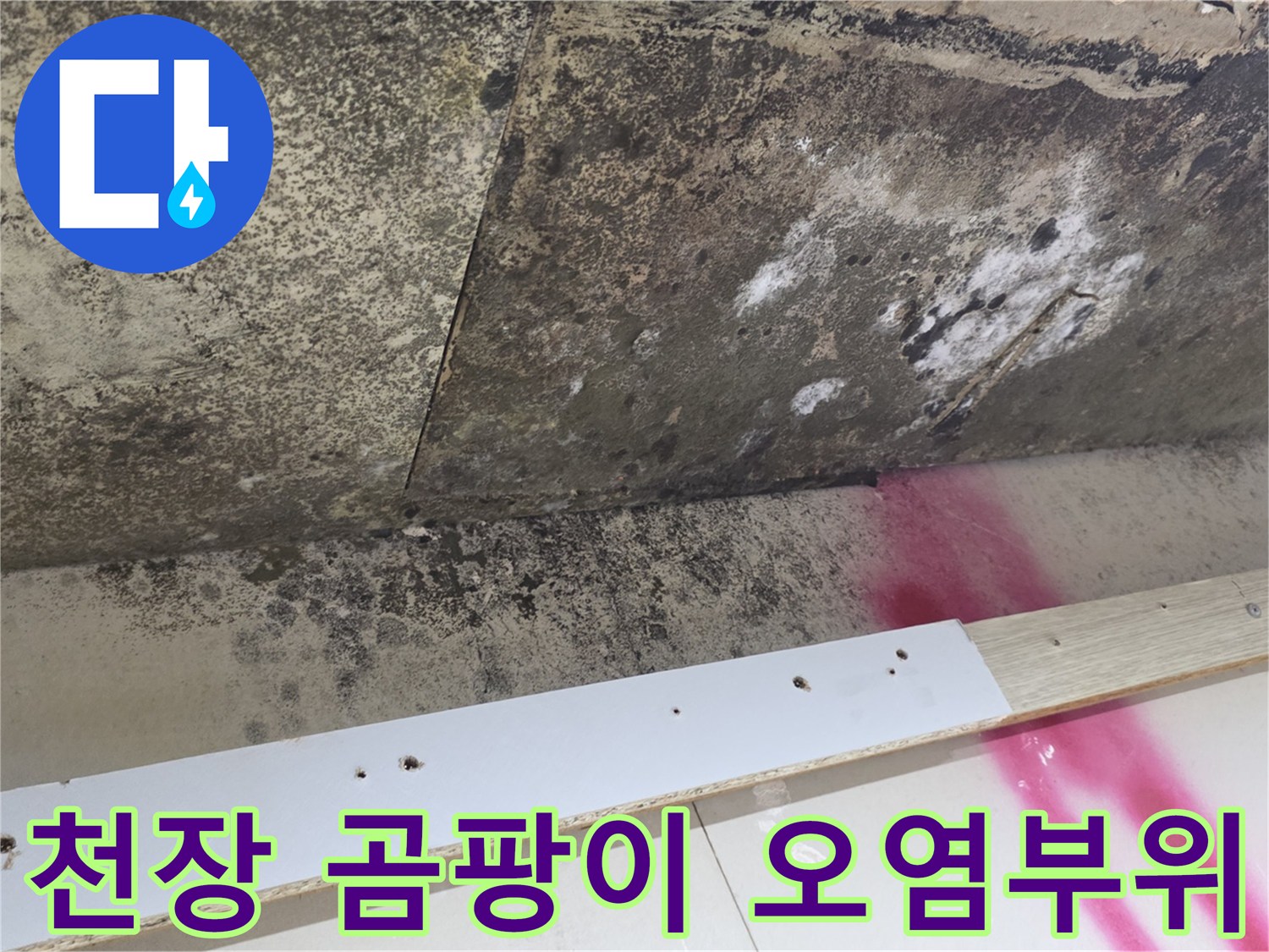 심각한 곰팡이로 뒤덮인 천장 마감재의 모습