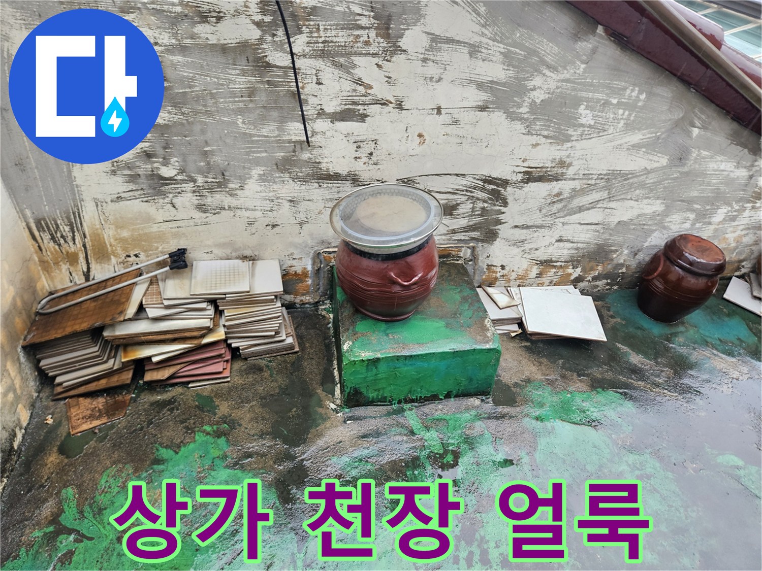 일산동구 상가 천장의 물에 젖은 얼룩과 부식된 흔적