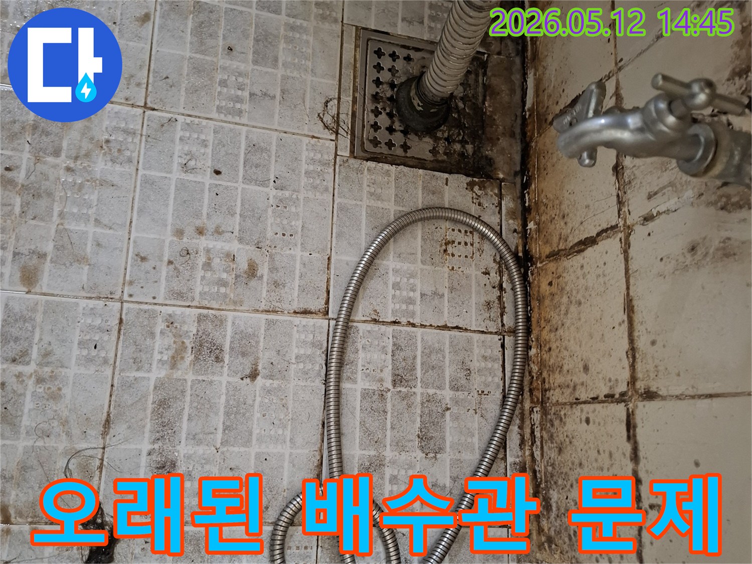 오래된-아파트-욕실-바닥의-배수구-주변에-심각하게-발생한-오염과-곰팡이가-오래된-배수관-문제를-시사하는-사진입니다