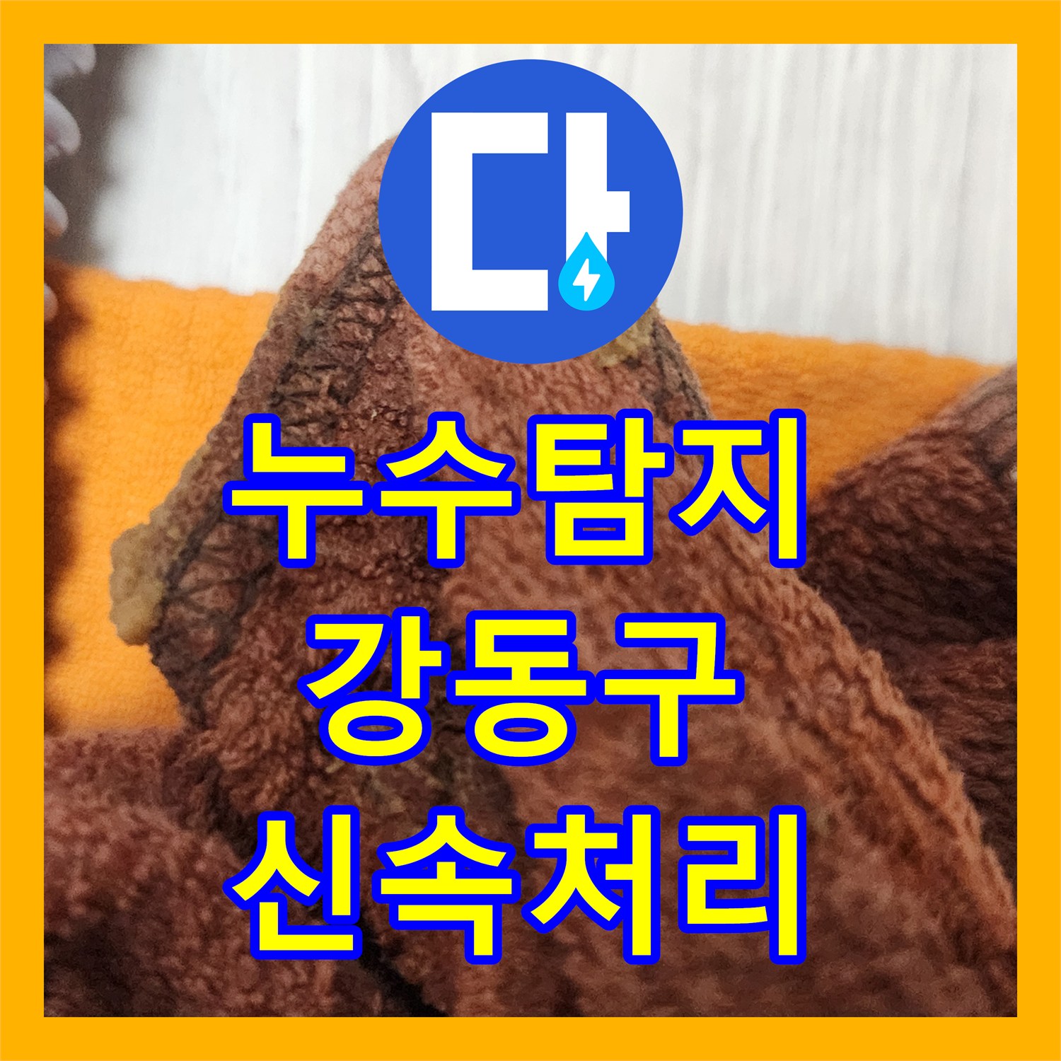 누수전화 노후 주름관 교체로 싱크대 누수 문제 해결한 강동구 현장